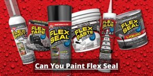 FLEX-SEAL