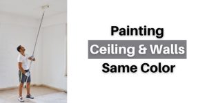Painting-the-Ceiling-and-Walls